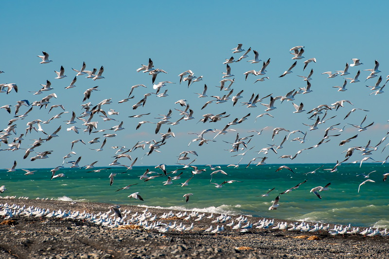 Утро в парке